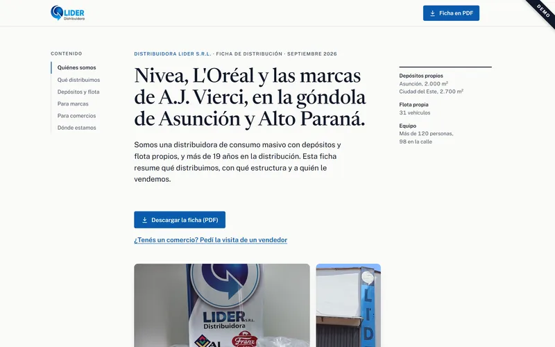 Distribuidora Lider demo